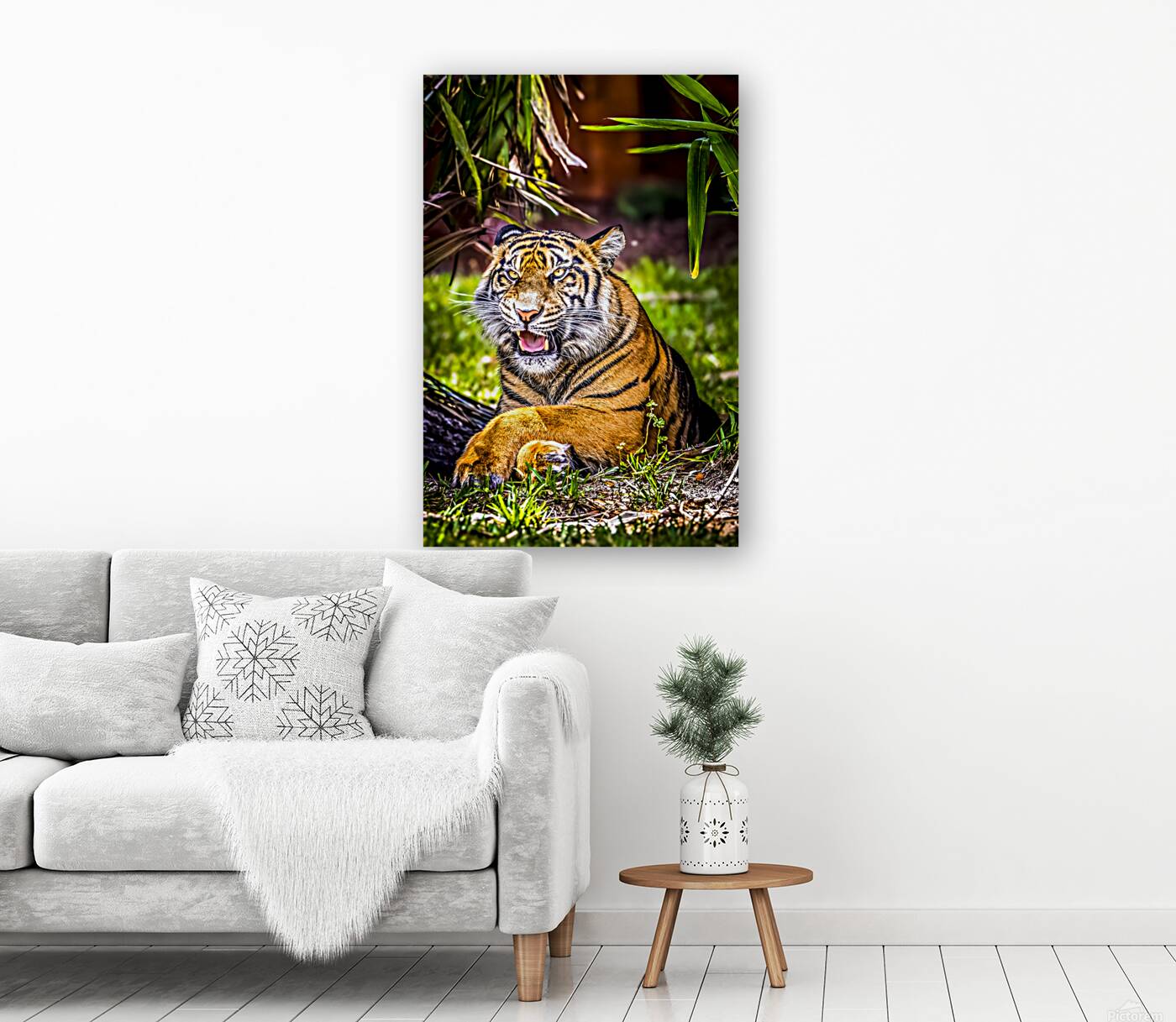 Wildlife 8 Reproduction