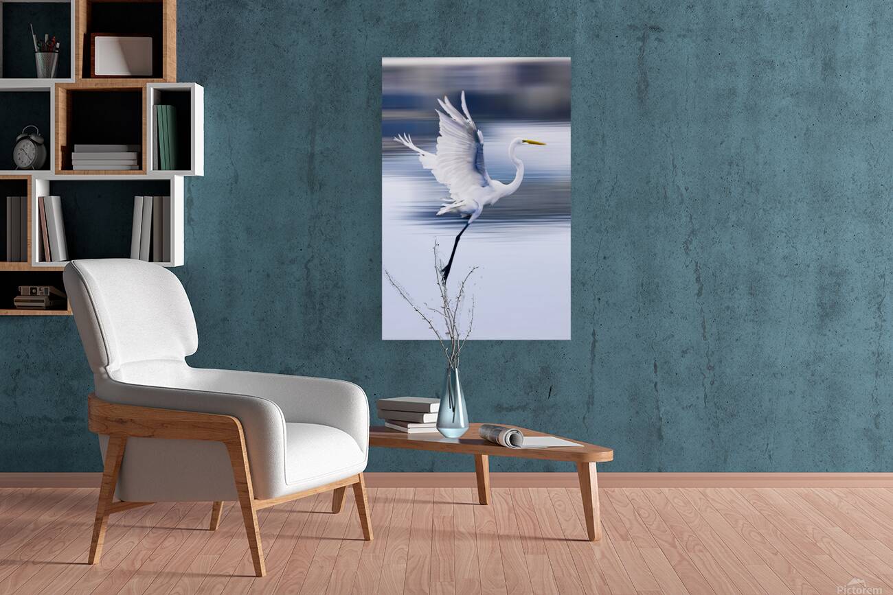 Wildlife 1 Reproduction