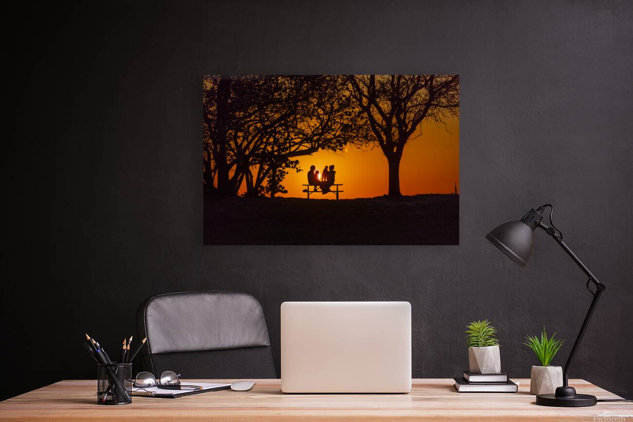 Vista View MG 7317 Reproduction