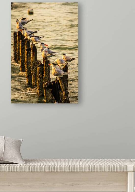 Birds at Sunrise by Tono Chavez