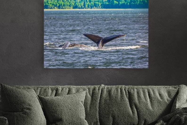 Store Alaska5L3A7728 by Tono Chavez