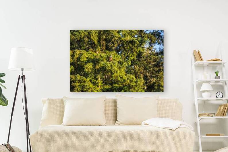 Store Alaska5L3A7987 by Tono Chavez