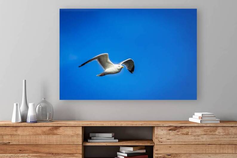 Store Alaska5L3A7673 by Tono Chavez