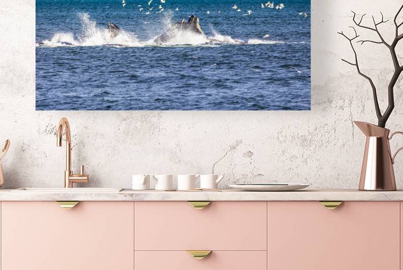 Store Alaska5L3A7688 by Tono Chavez