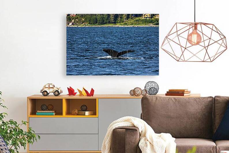 Store Alaska5L3A7652 by Tono Chavez