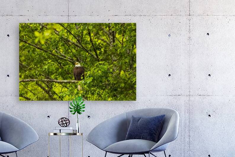 Store Alaska5L3A8325 by Tono Chavez