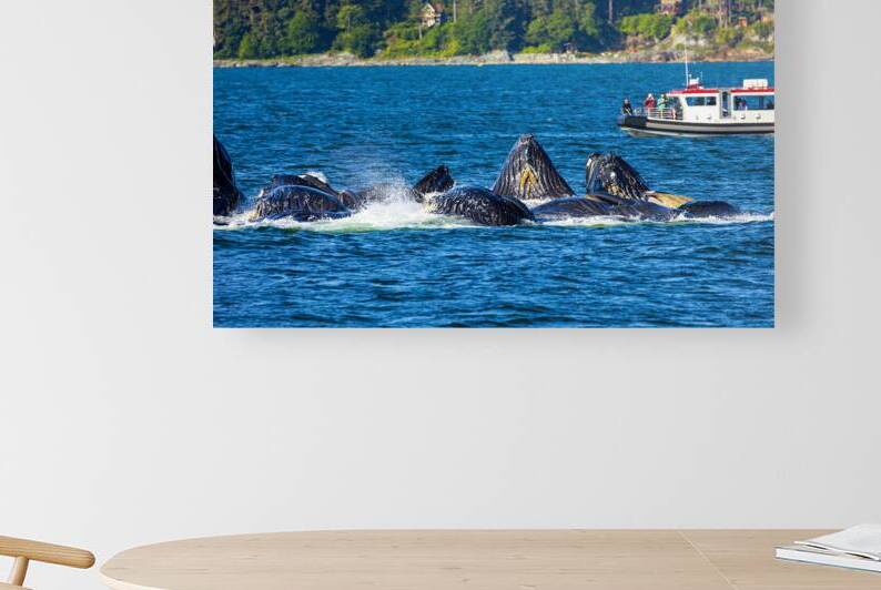 Store Alaska5L3A7546 by Tono Chavez