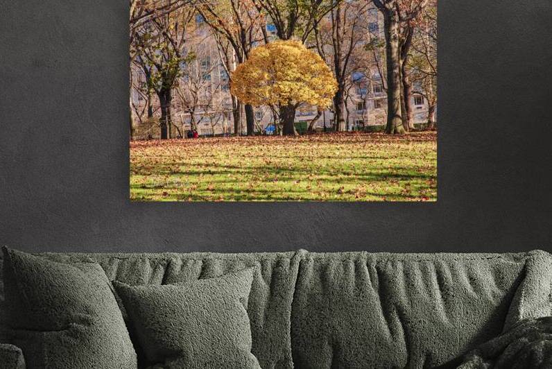 Store New York DSC 4114 by Tono Chavez