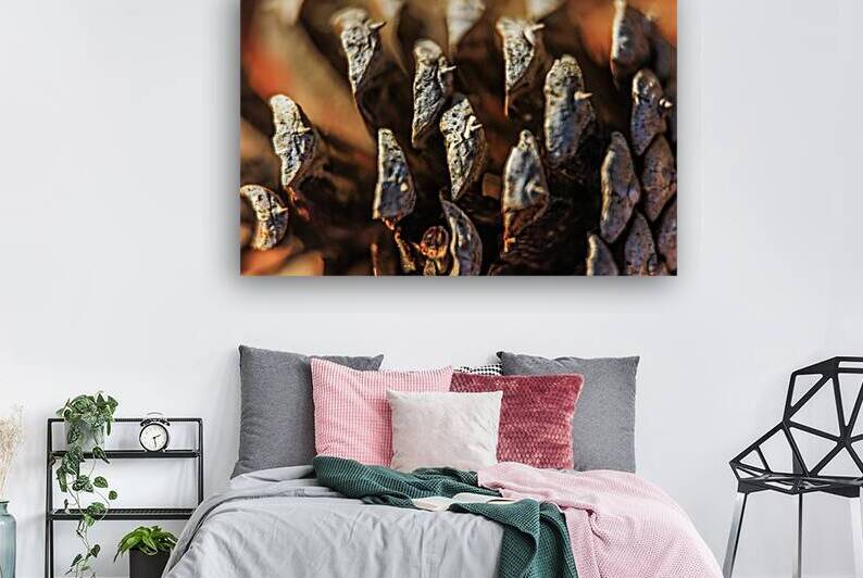 Store Georgia 5L3A0127 by Tono Chavez