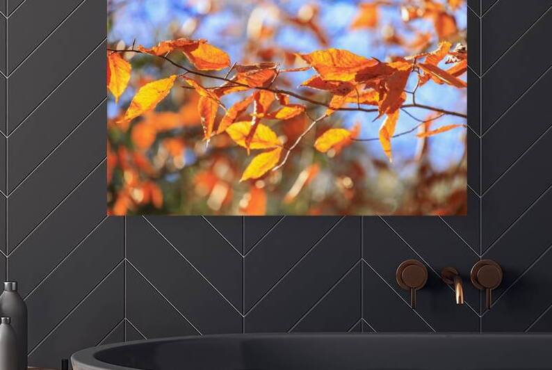 Store Georgia 5L3A0068 by Tono Chavez