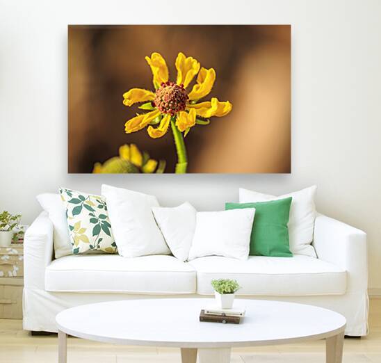 Store Georgia 5L3A0133 by Tono Chavez