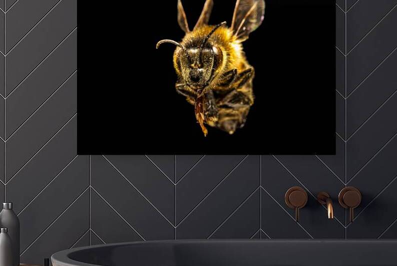 Store Macro 5L3A2752 by Tono Chavez