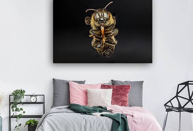 Store Macro 5L3A2811 by Tono Chavez