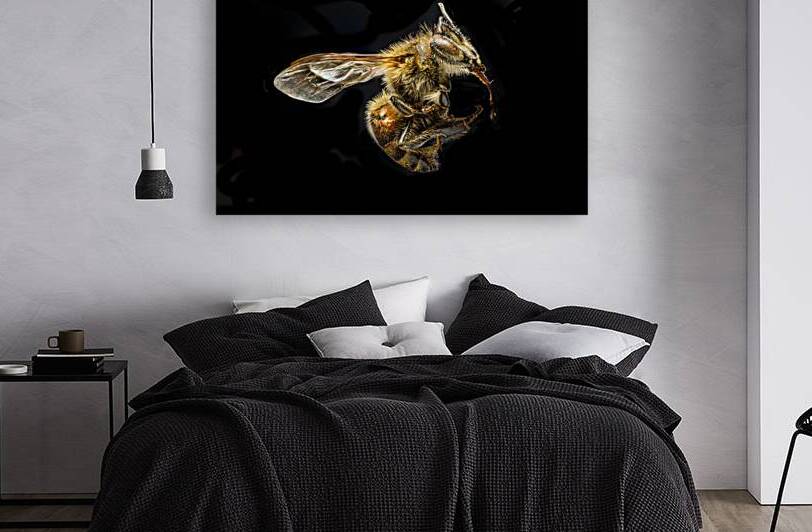 Store Macro 5L3A2775 by Tono Chavez