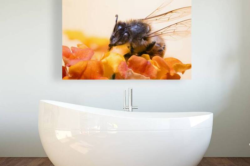 Store Macro 2024 06 16 by Tono Chavez