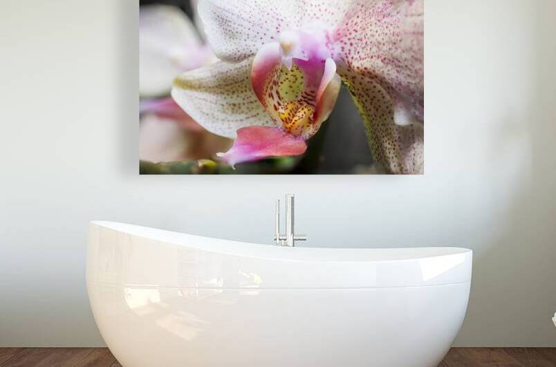 Store Macro 5L3A3626 by Tono Chavez