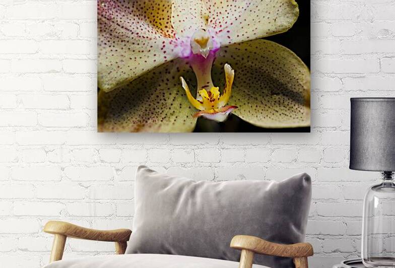 Store Macro 5L3A3617 by Tono Chavez