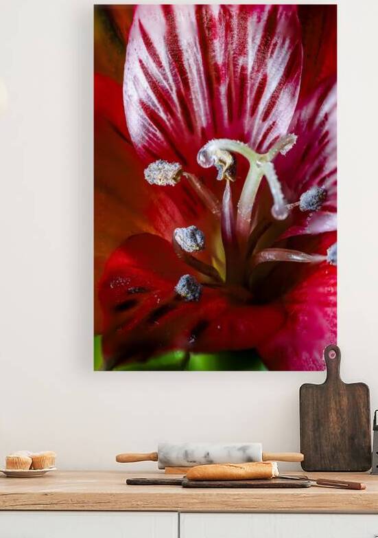 Store Macro 5L3A3662 by Tono Chavez