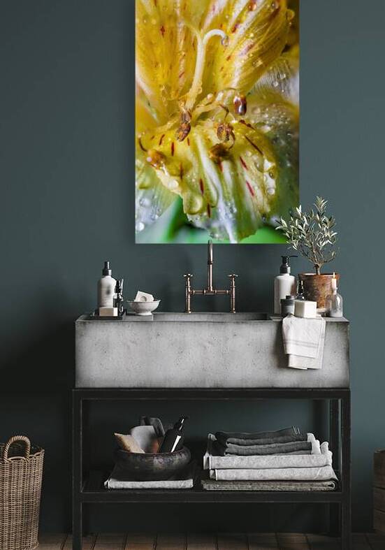 Store Macro 5L3A3699 by Tono Chavez