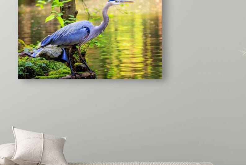 Store Vancouver 5L3A6854 by Tono Chavez