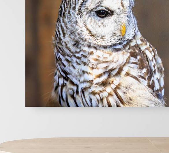 Store Vancouver 5L3A6870 by Tono Chavez