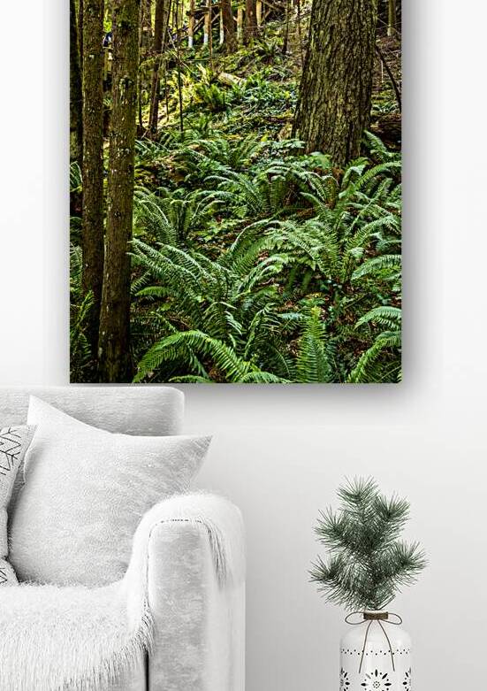 Store Vancouver 5L3A6895 by Tono Chavez