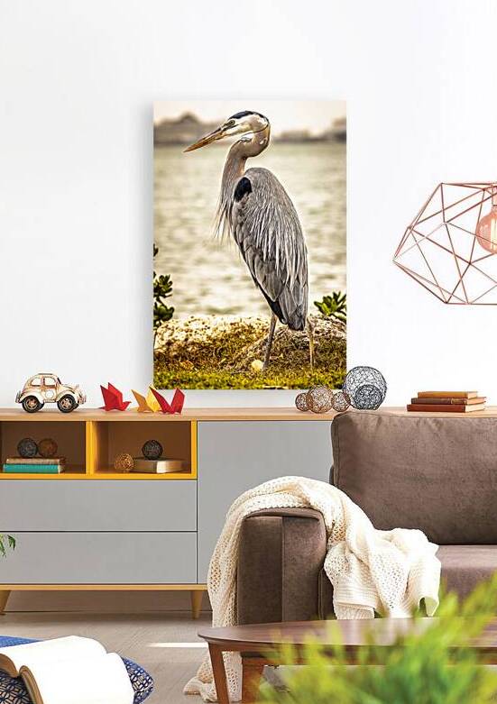 Store Key Biscayne AE2A9016 by Tono Chavez