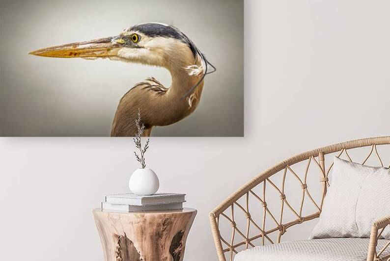 Store Key Biscayne AE2A9025 by Tono Chavez