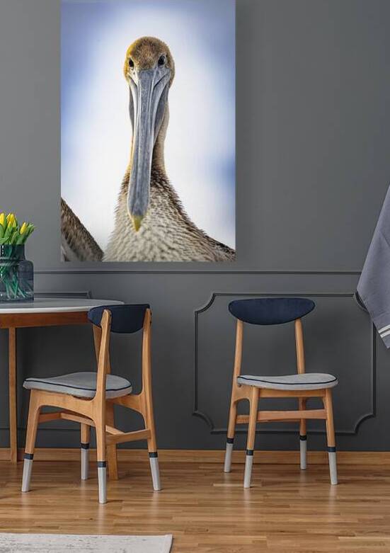 Store Dania Beach AE2A8738 by Tono Chavez