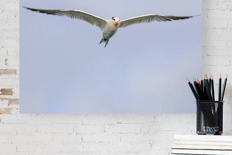 Store Dania Beach AE2A8747 by Tono Chavez