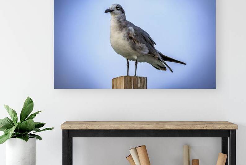 Store Dania Beach AE2A8868 by Tono Chavez