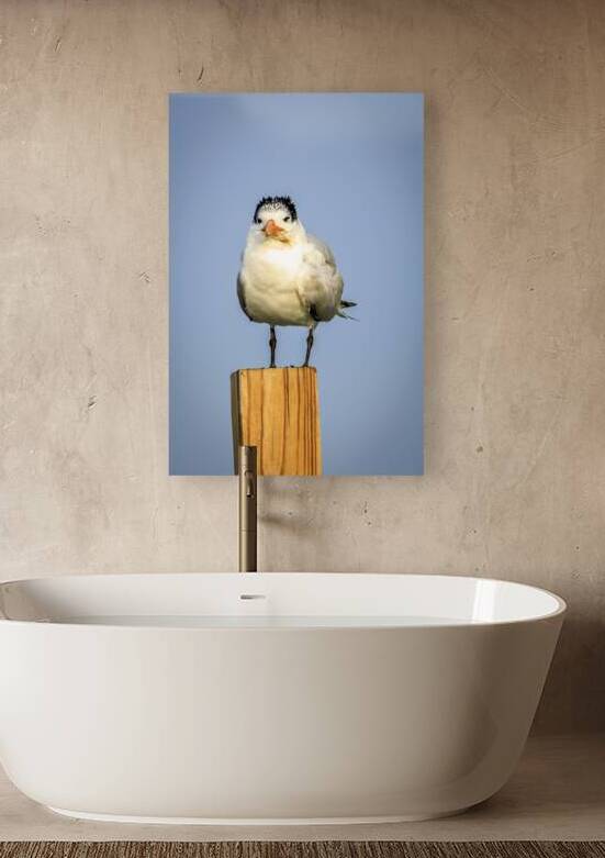 Store Dania Beach AE2A8826 by Tono Chavez