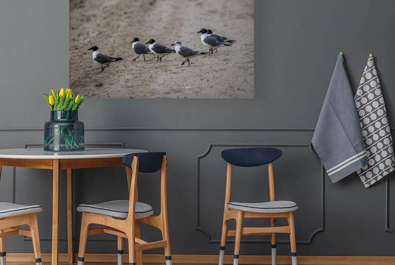 Store Dania Beach AE2A8947 by Tono Chavez