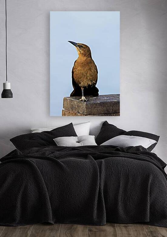 Store Dania Beach AE2A8779 by Tono Chavez