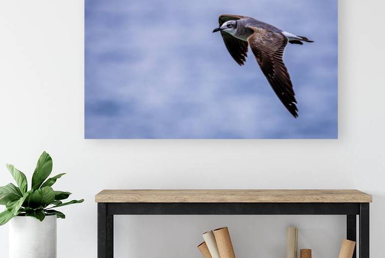 Store Dania Beach AE2A8885 by Tono Chavez