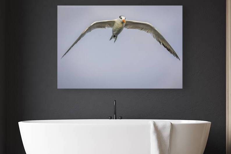 Store Dania Beach AE2A8748 by Tono Chavez