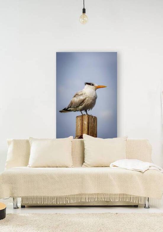 Store Dania Beach AE2A8709 by Tono Chavez