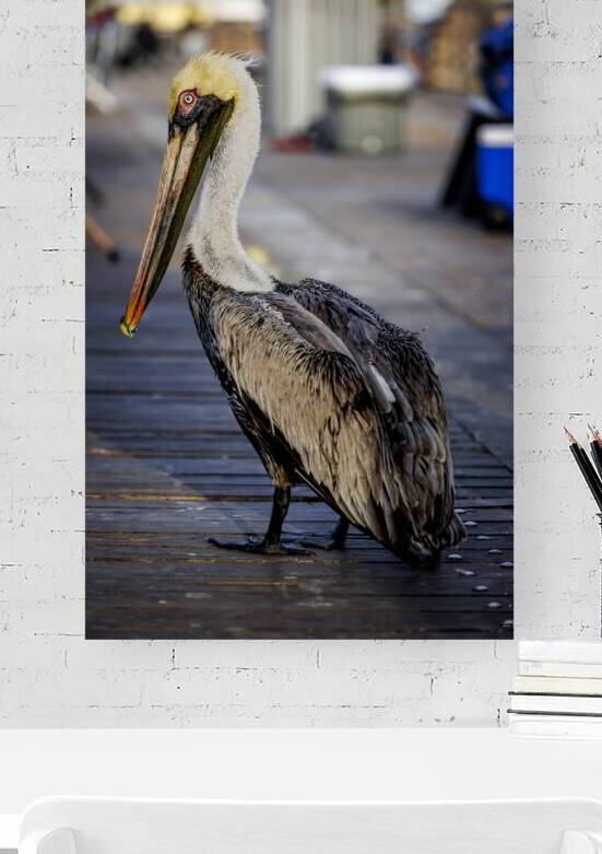 Store Dania Beach AE2A8718 by Tono Chavez