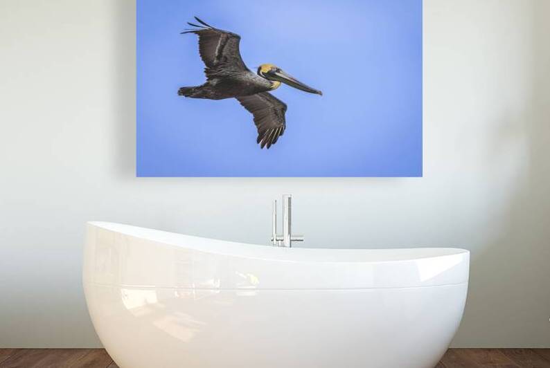 Store Dania Beach AE2A8905 by Tono Chavez