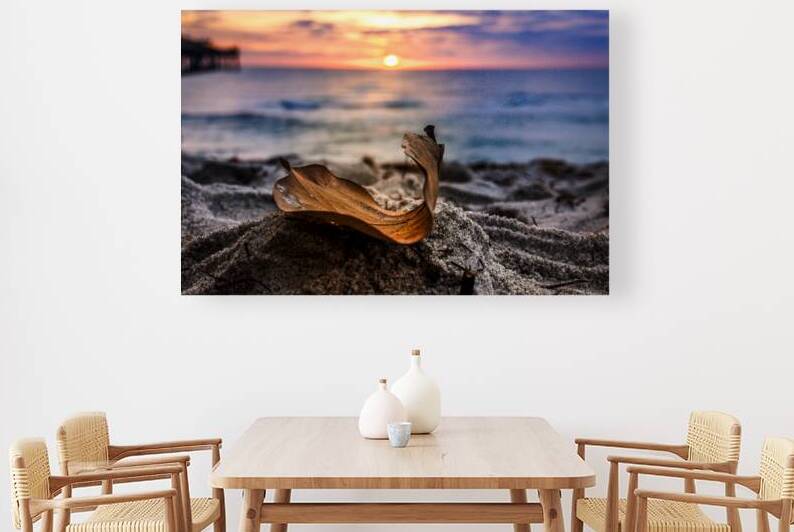 Store Dania Beach AE2A8654 by Tono Chavez