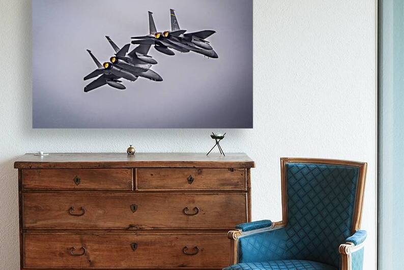 Store FLLAirShow AE2A3078 by Tono Chavez