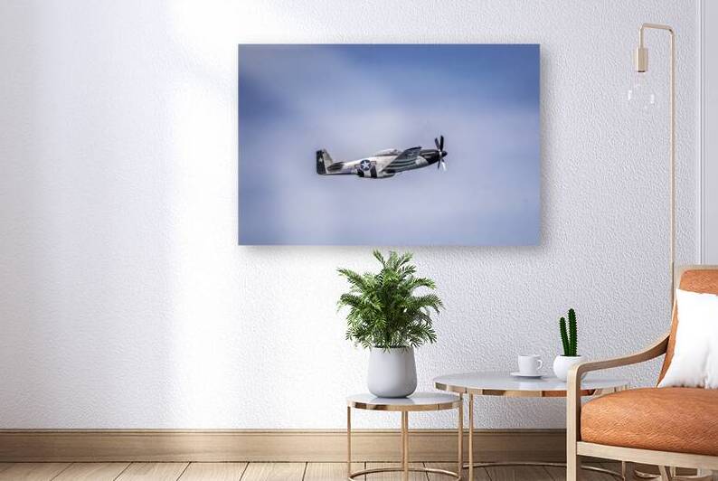 Store FLLAirShow AE2A3758 by Tono Chavez