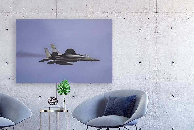 Store FLLAirShow AE2A2948 by Tono Chavez