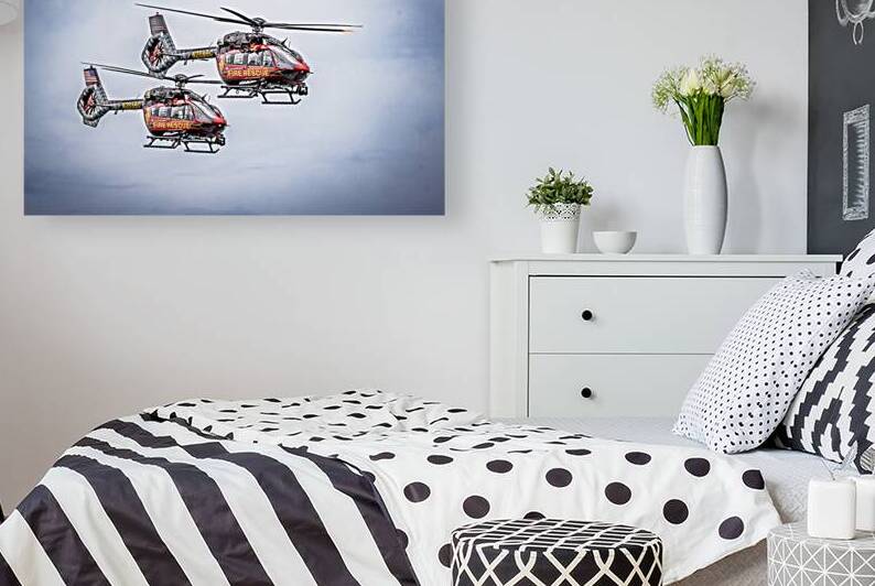 Store FLLAirShow AE2A3613 by Tono Chavez