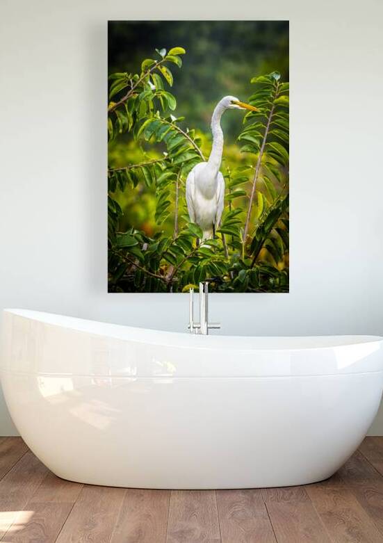 Wildlife 2 by Tono Chavez