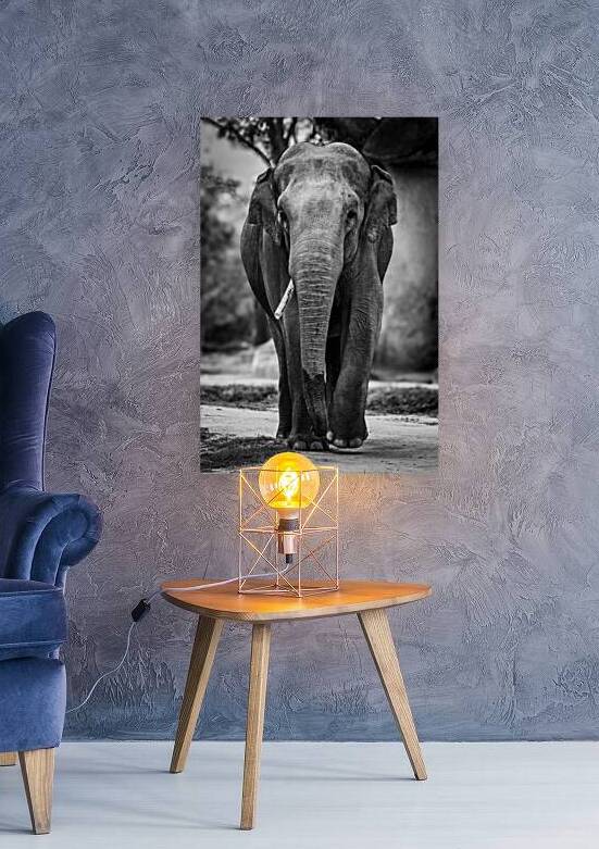 Wildlife 9 by Tono Chavez