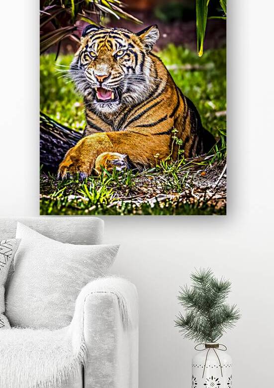 Wildlife 8 by Tono Chavez