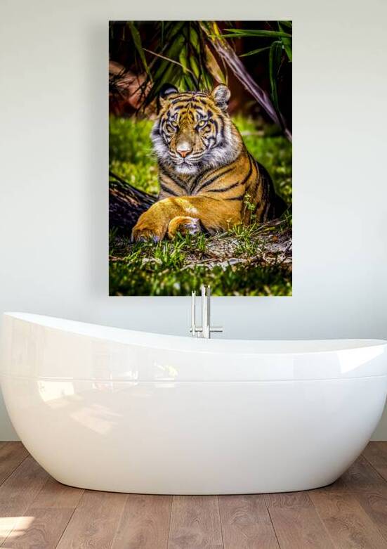 Wildlife 10 by Tono Chavez