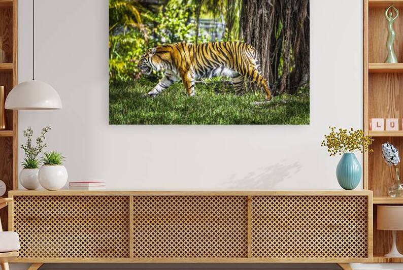 Wildlife 4 by Tono Chavez