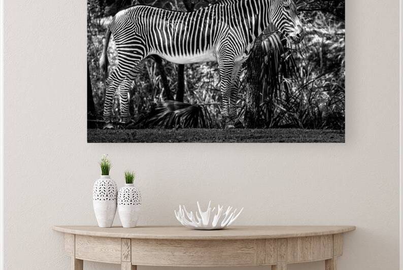 Wildlife 6 by Tono Chavez